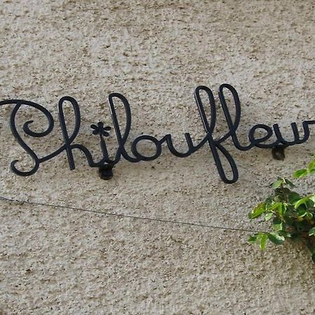 Philoufleur - Gite Restaure En Campagne Chaneins Zewnętrze zdjęcie
